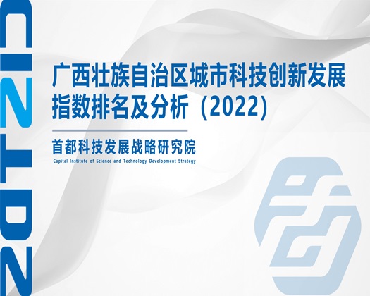 清远老太操逼逼【成果发布】广西壮族自治区城市科技创新发展指数排名及分析（2022）